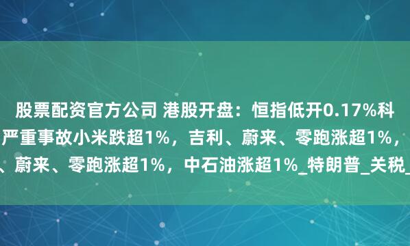 股票配资官方公司 港股开盘：恒指低开0.17%科指跌0.16%！小米SU7严重事故小米跌超1%，吉利、蔚来、零跑涨超1%，中石油涨超1%_特朗普_关税_指数