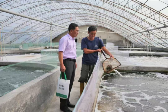 配资平台排名前十的 农行山东省分行杨克峰：青蓝赓续润沃土，“老农金”精神传薪火